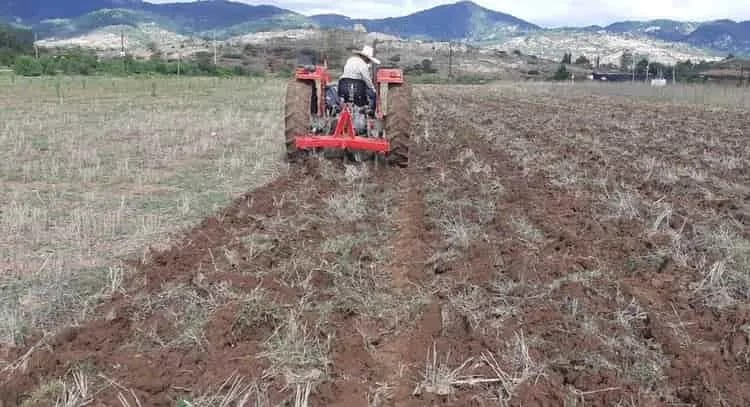 México introduce labranza vertical para maíz de temporal