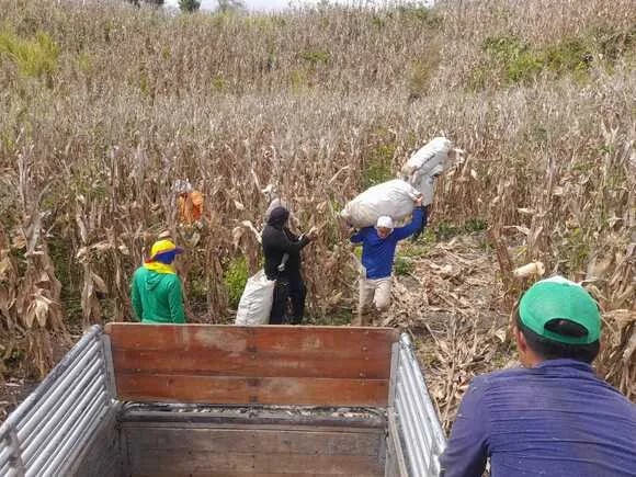 ECUADOR: Posible fusión del Magp con Economía genera preocupación en el agro