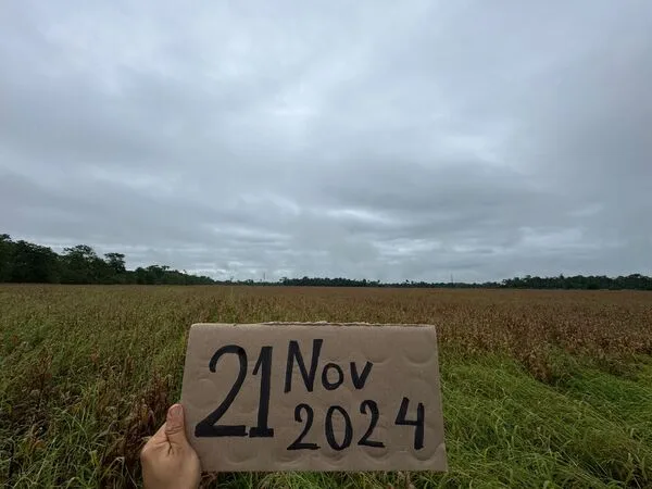 ECUADOR: Productores del Oriente solicitan reforma y lamentan impacto de importaciones de maíz