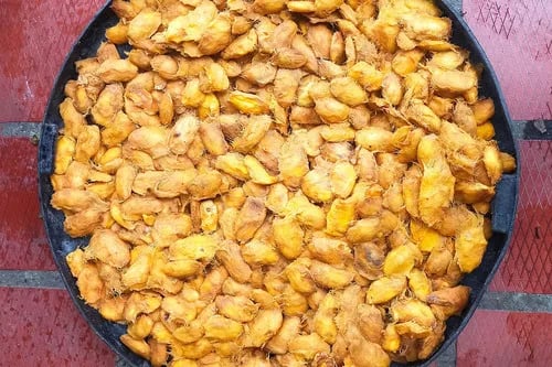 Bolsas de semilla de mango serían una alternativa a los plásticos tradicionales