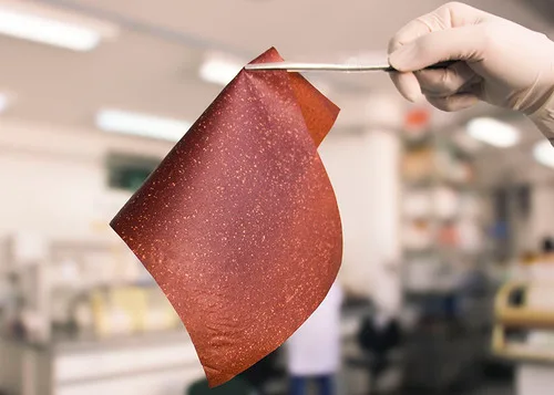 BRASIL: Método simple convierte las cáscaras de plátano en películas bioplásicas