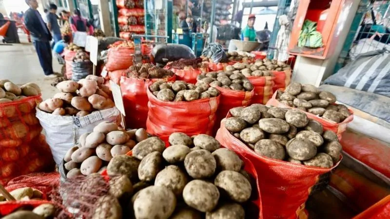 PERÚ: precio de la papa blanca se empieza a recuperar