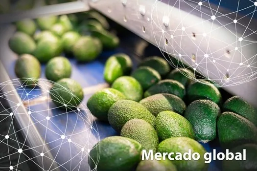 ESTADISTICAS: Resumen del mercado global del aguacate