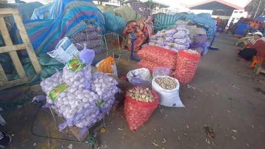 ECUADOR: el costo del quintal de ajo llegó a 470 dólares en el mercado Mayorista de Ambato