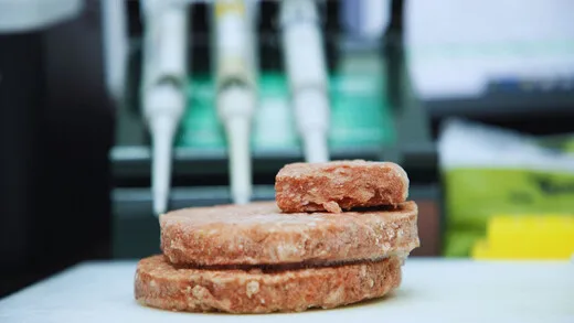 ARGENTINA: Búfalo, una carne alternativa de alto valor nutricional