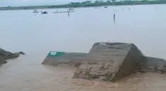 ECUADOR: Emergencia en el sector camaronero por intenso invierno