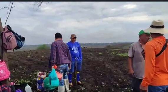 ECUADOR: Las lluvias renuevan las esperanzas de los productores de ciclo corto