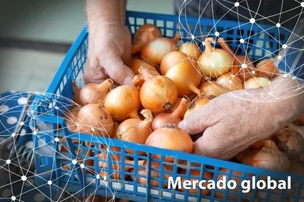 Resumen del mercado global de la cebolla