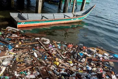 COLOMBIA: Filtros elaborados con cáscara de coco limpian contaminantes del agua