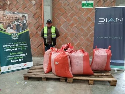 COLOMBIA: Incautan nuevamente semilla de cebolla ilegal en la frontera con Ecuador