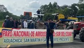 COLOMBIA: Continua el paro arrocero en el país