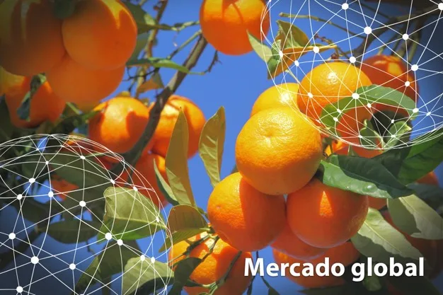 Resumen del mercado global de las mandarinas