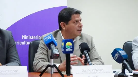 ECUADOR: Se presenta proyecto para reactivar 20.000 hectáreas de café en el país