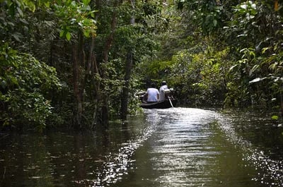 El clima cambia los límites de las enfermedades tropicales en Colombia