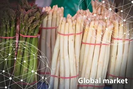 Resumen del mercado global del espárrago