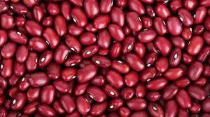 Gobierno de México crea Productora de Semillas para fortalecer la soberanía alimentaria