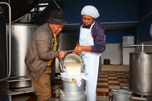 Ecuador realiza su primera exportación de leche UHT a El Salvador