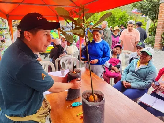 ECUADOR: Productores de la Ruta Escondida se capacitan para exportar aguacate a EE.UU.