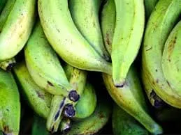 ECUADOR: Venta directa de verde destaca en jornada en Tungurahua