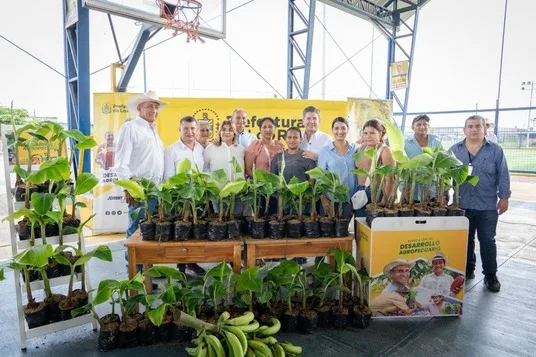 ECUADOR: Vinces recibe plantas de plátano para fortalecer el desarrollo productivo