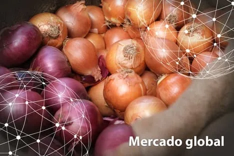 Resumen del mercado global de la cebolla