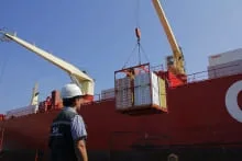 Chile avanza hacia la certificación fitosanitaria 100% digital con China