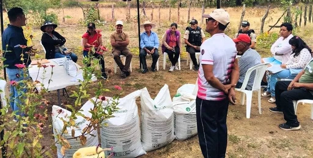 MAG promueve el manejo tecnificado del arroz con parcela demostrativa en Zapotillo
