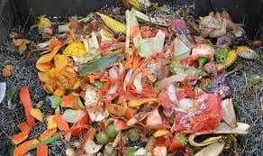 BRASIL: Nuevo sistema aumenta la producción de biogás de residuos hortofrutícolas