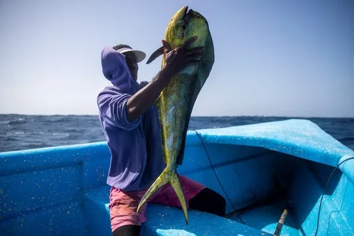 ECUADOR: CIAT aprueba iniciativa de Ecuador para fortalecer la gestión del dorado