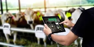 Ganadería extensiva en España: tradición, tecnología y conservación del territorio