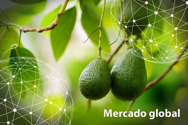 Resumen del mercado global del aguacate