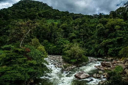 Ecuador y Colombia presentan resultados de proyecto binacional de manejo hídrico