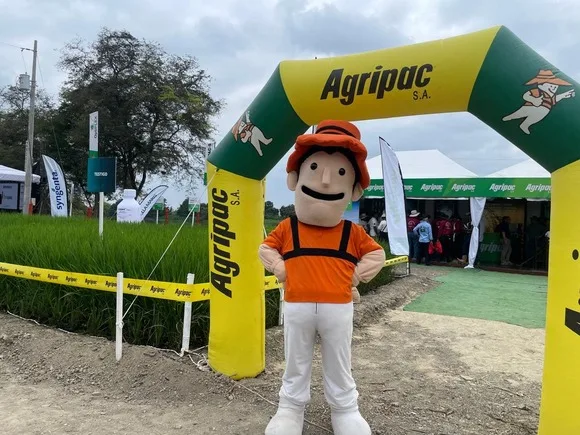 ECUADOR: Entre semillas y premios: Agripac impulsó “Tu Jugada Ganadora” en Expo Arroz 2025