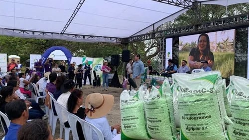 ECUADOR: En Nobol se presentó la campaña de siembra de arroz invierno 2026