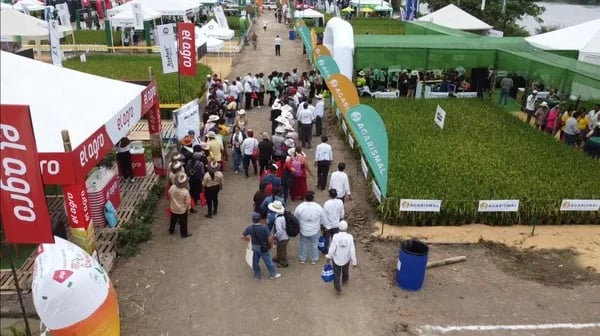 ECUADOR: Congreso arrocero dejó nuevas estrategias para incrementar la productividad