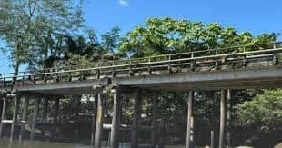 ECUADOR: Cinco nuevos puentes serán contratados en la Amazonía, según el MIT