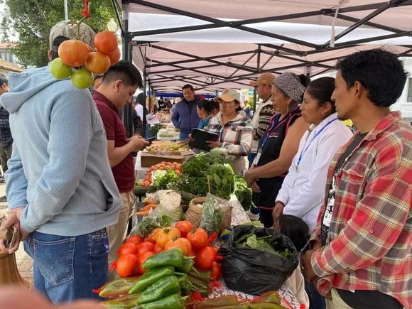 ECUADOR: Productores logran enlaces directos con supermercados