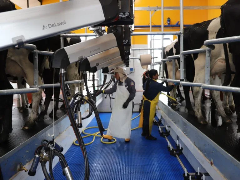 ECUADOR: Centro experimental de la UPEC obtiene certificación sanitaria bovina