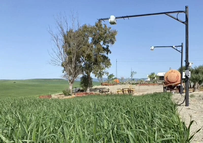 Crean una plataforma inteligente que ahorra un 32 % de agua
