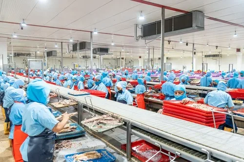 ECUADOR: Se construye planta agroindustrial con apertura en 2026