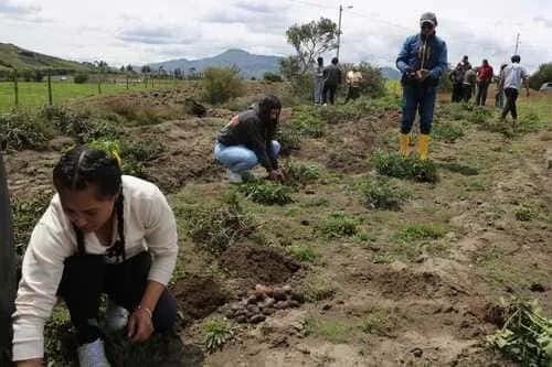 ECUADOR: Proyecto busca modernizar el agro con jóvenes líderes