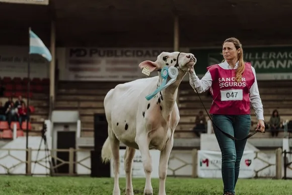ECUADOR: Expo Feria ganadera Ambato destaca en genética lechera