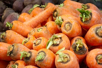 Zanahorias descartadas por su forma y aspecto tienen más antioxidantes que las “normales”
