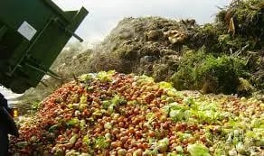 COLOMBIA: Residuos de frutas se transforman en suplemento nutritivo para el ganado
