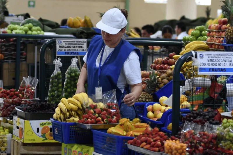 Ecuador: Agricultura familiar aporta 60 % de la canasta básica