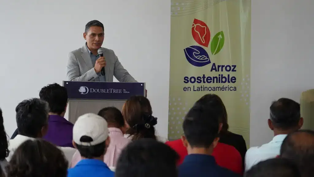 Ecuador implementa sistema MRV para el cultivo de arroz