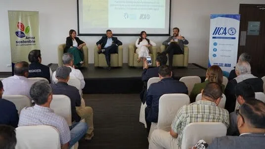 ECUADOR: Presentan en Guayaquil proyecto para medir emisiones en el cultivo de arroz