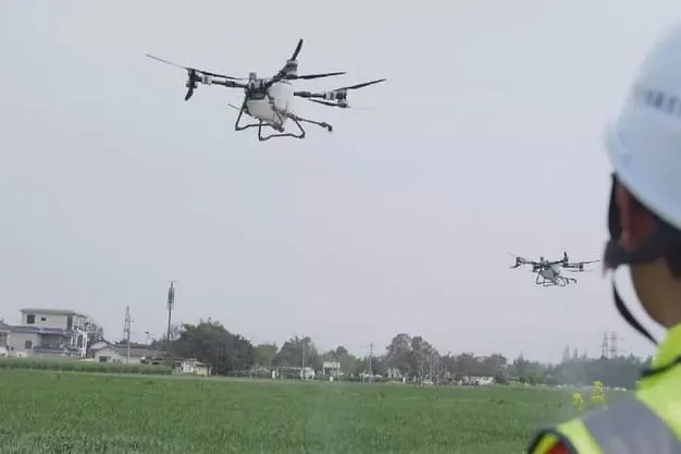 CHINA: En Chengdu, los drones entregan verduras frescas directamente de la granja a la mesa