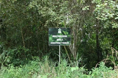 ECUADOR: Empresa privada renueva monitoreo satelital para detectar deforestación