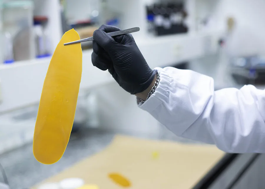 Científicos brasileños crean un nuevo recubrimiento para la liberación controlada de fertilizantes.
